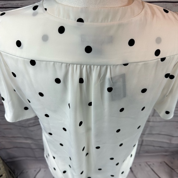 NWT RW&CO. White & Blue Polka Dot Shirt - M - Picture 6 of 7